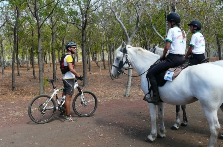 Patrouille équestre