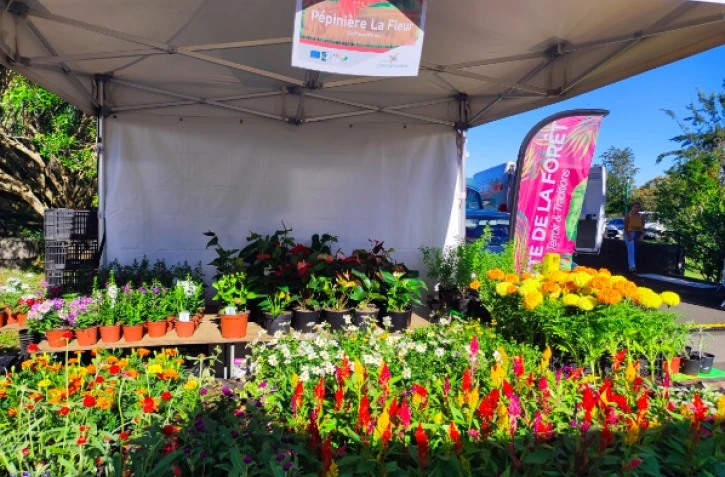 Le TCO organise la fête de la forêt