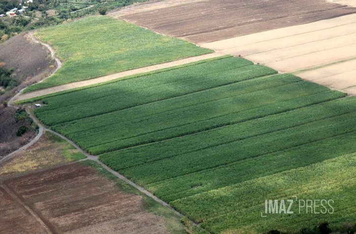 terrain agricole ouest 