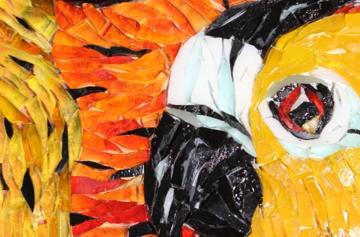 Exposition de la matière à la lumière