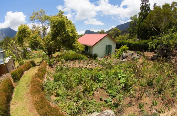 Journée mondiale de la diversité : le jardin réunionnais à l’honneur au Moca