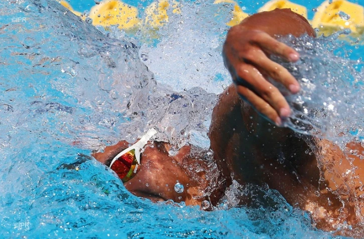 natation 