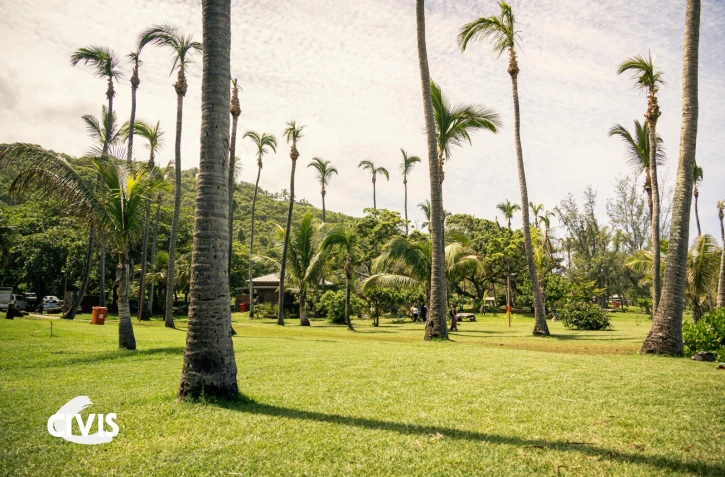 Pic-nique à Grand Anse pour les vacances 