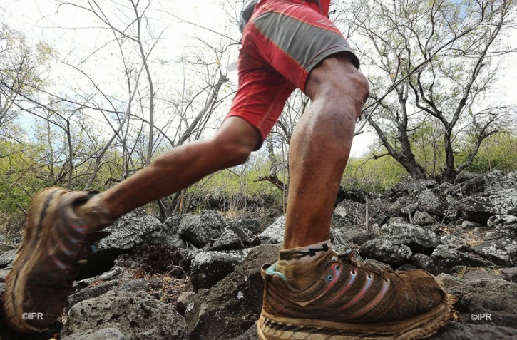 Trail