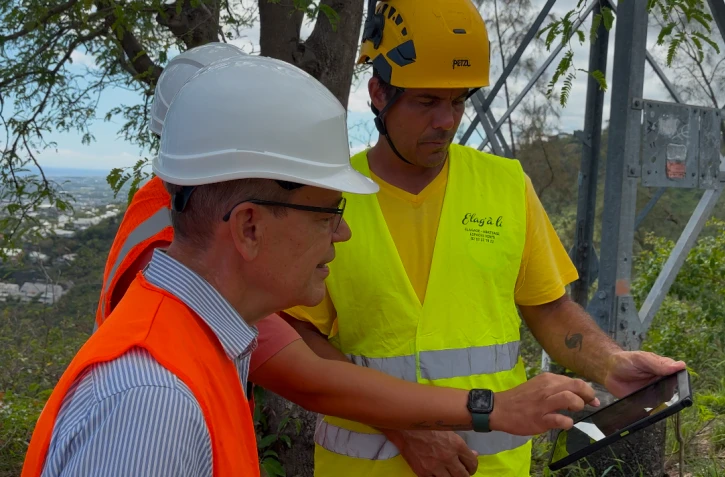 EDF renforce l’élagage des lignes avant la saison cyclonique : 5.500 chantiers programmé