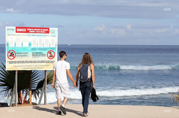 panneaux requins plage  Roches noires 