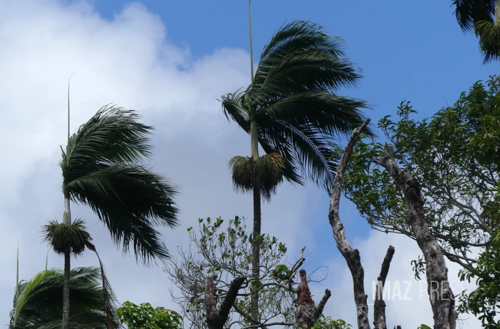 La météo sur La Réunion
