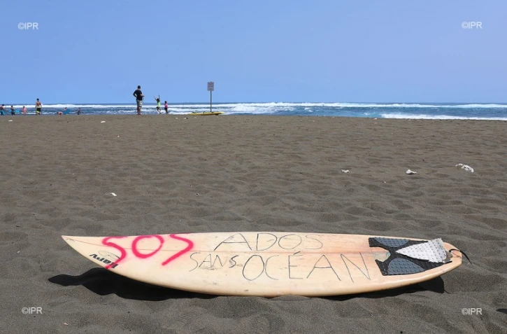 illustration crise requin