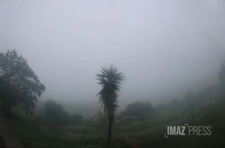 météo réunion