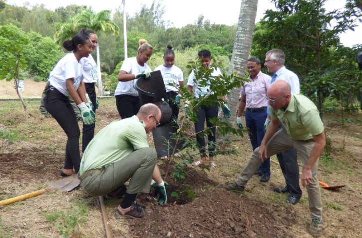 Une trentaine de plants mis en terre à l'arboretum de l'ONF