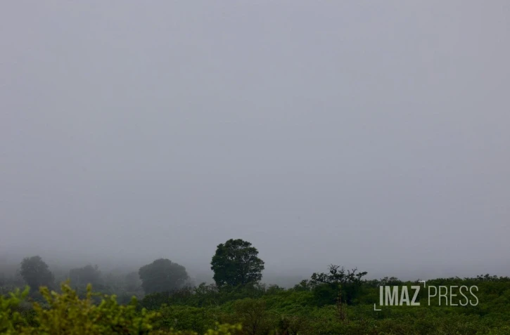 météo, brouillard