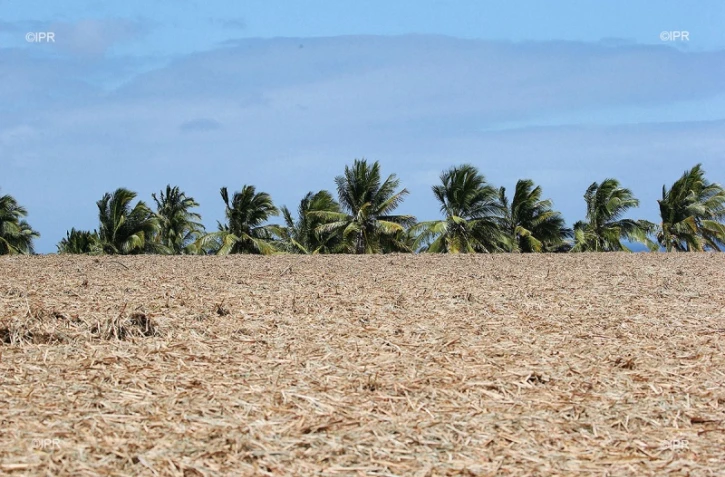 Météo réunion 