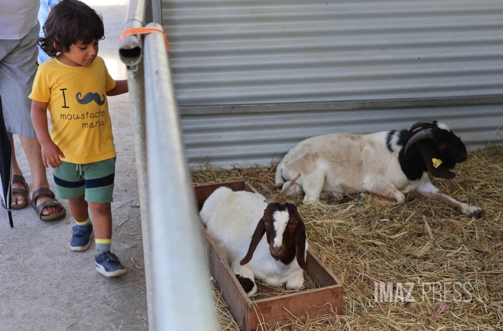 Foire agricole de Bras Panon