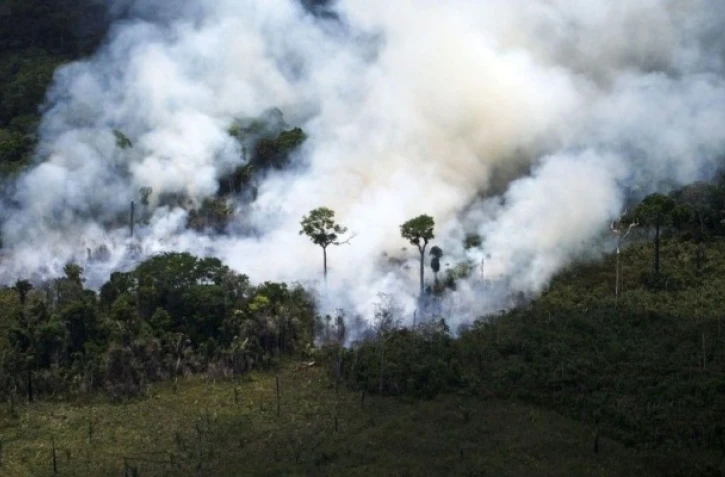 Incendies en amazonie