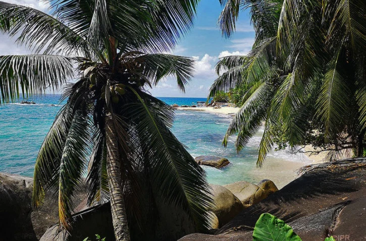 Culture créole aux Seychelles
