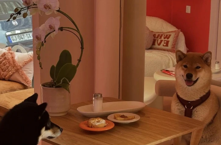 La première boulangerie pour chiens a ouvert ses portes à Paris