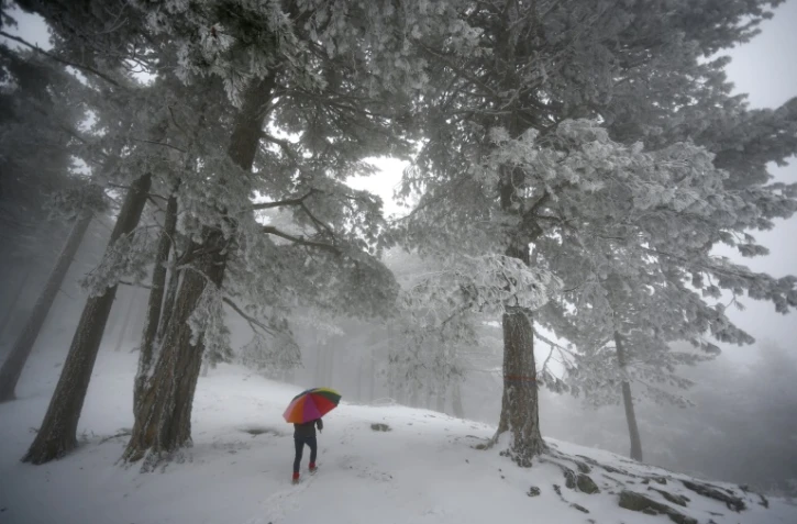Paysage enneigé, le 22 février 2018 en Corse