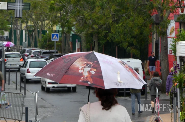 Pluie à Cilaos avec un parapluie chien