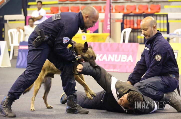 séminaire canin police 2025 