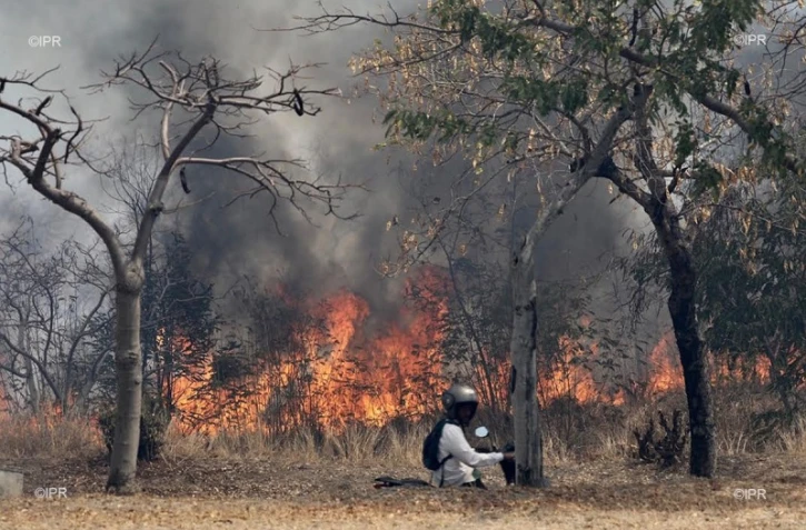 incendie, feu de broussaille, Le Port, octobre 2019