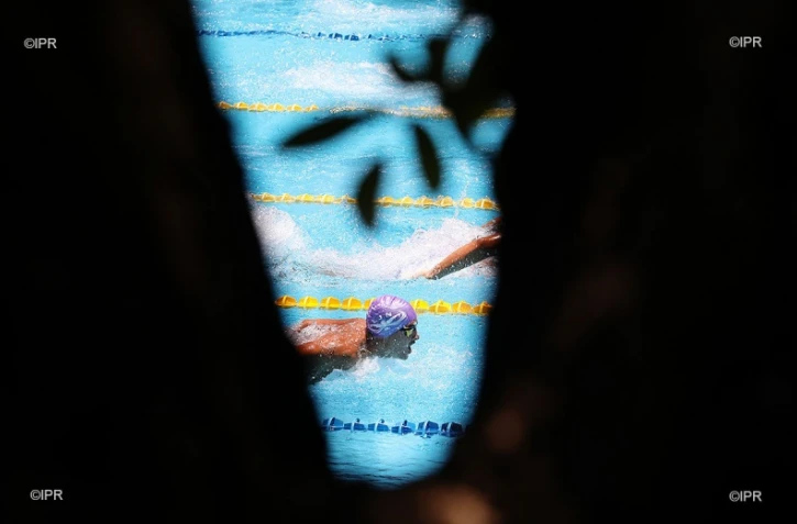 meeting natation 2017