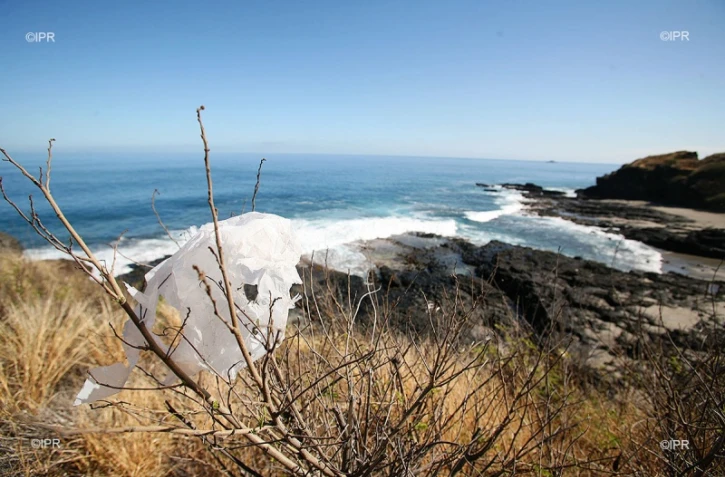 pollution sachet plastique