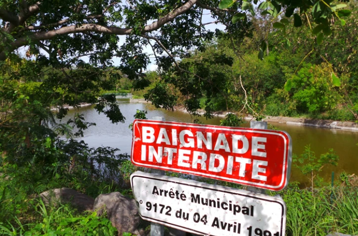 Parc boisé