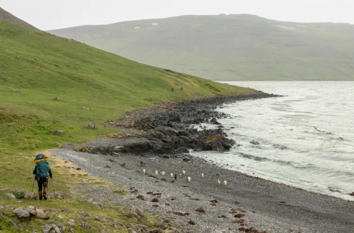 Mission Petrel : neuf jours de raid sur les îles Kerguelen