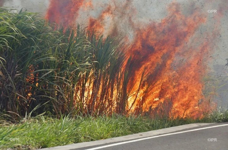 Feu de cannes à Sainte-Suzanne 31 août 2016
