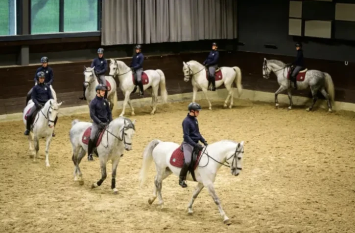 Des cavaliers participent à un entraînement avec des chevaux Lipizzan à Lipica dans le sud-ouest de la Slovénie, le 13 mai 2023 ( AFP / Jure Makovec )