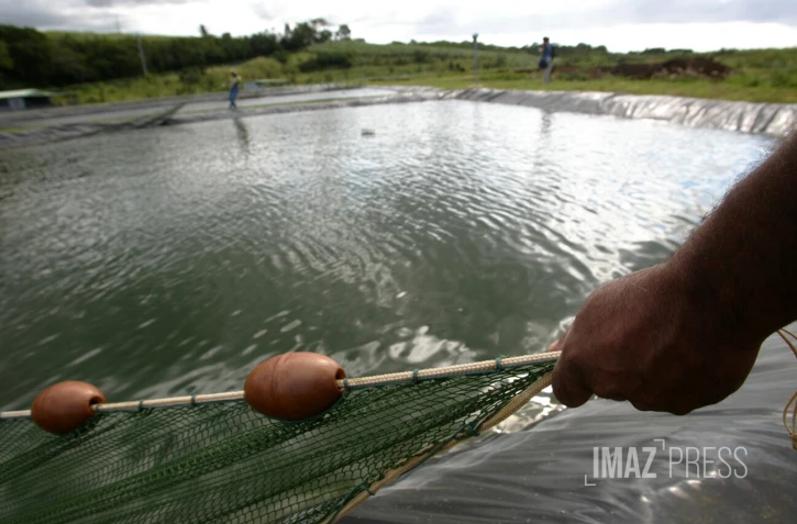 aquaculture 