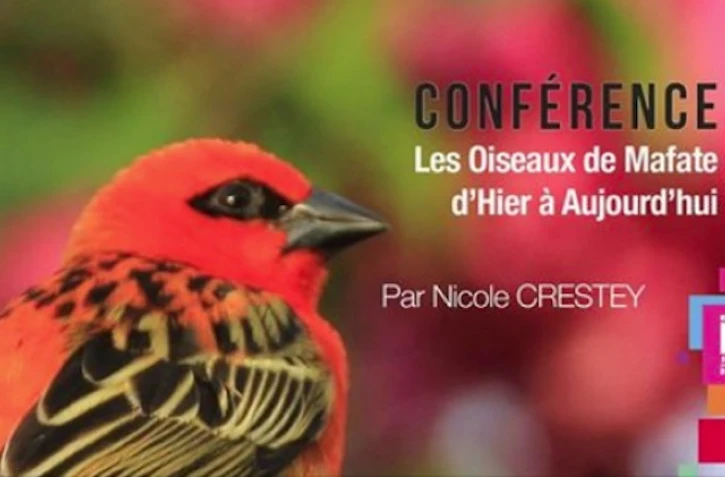 Conférence - Oiseaux de Mafate