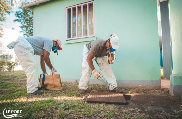 Le Port : opération de dératisation estivale dans les écoles