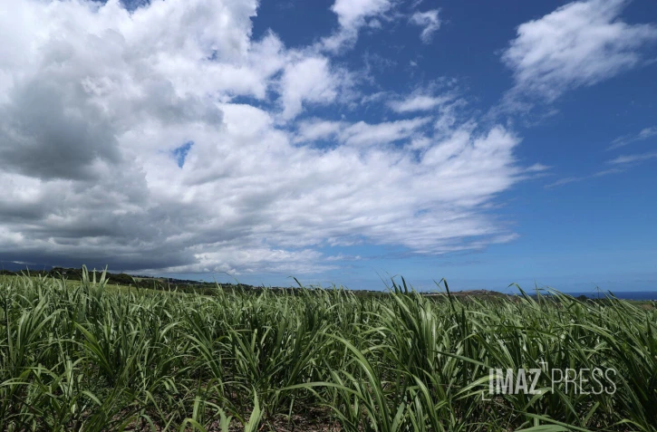 météo réunion 