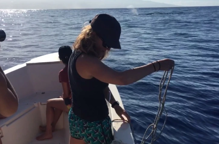 cachalot observé par globice 9 février 2021