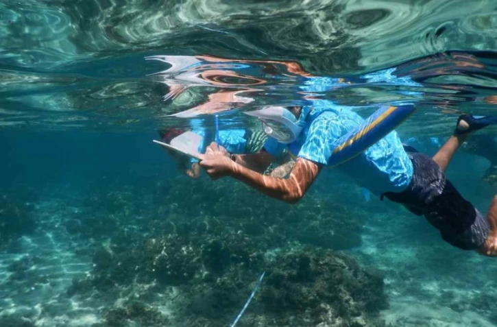 Des élèves veillent sur leur aire maritime éducative.