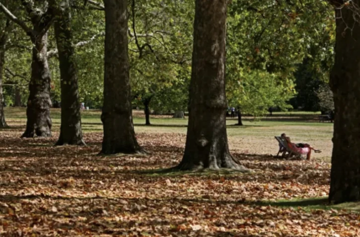 Au Royaume-Uni, chaleur et sécheresse provoquent un "faux automne"
