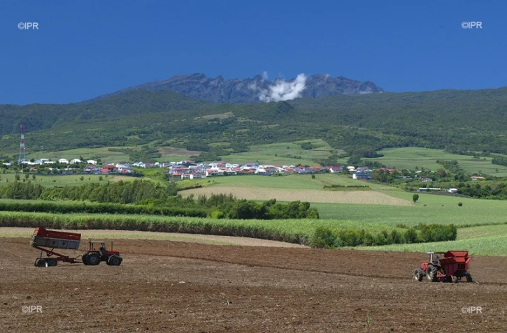 agriculture 