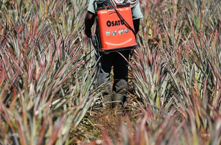 pesticide 
