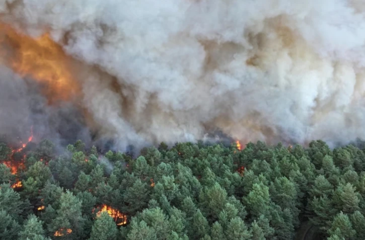 800 hectares ont déjà brûlé à Fontainebleau où un important incendie s’est déclenché dimanche 13 juillet. | AFP PHOTO / SDIS77 / FRANCK DESPREZ