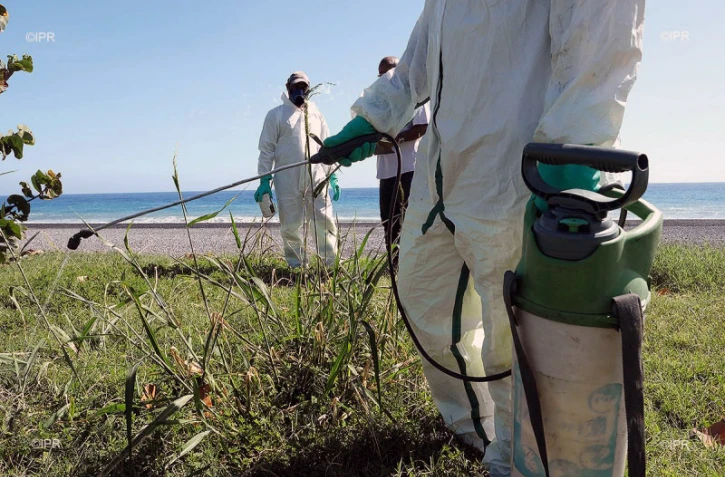 Dengue : "l'essentiel est qu'elle ne passe pas l'hiver"