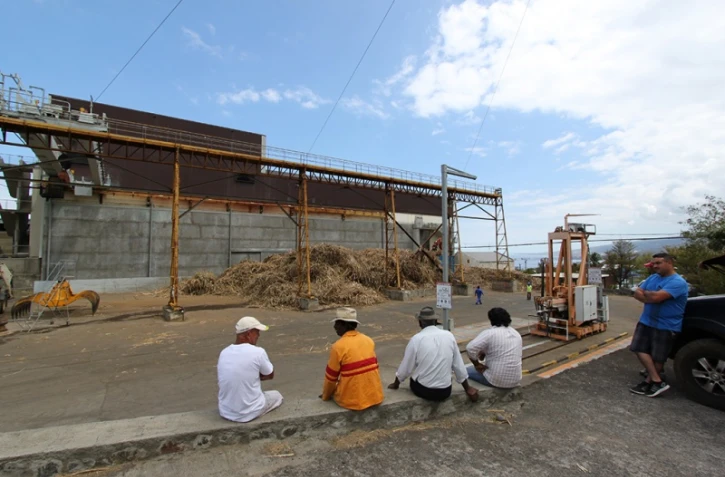 Campagne sucrière : grève à l'usine du Gol