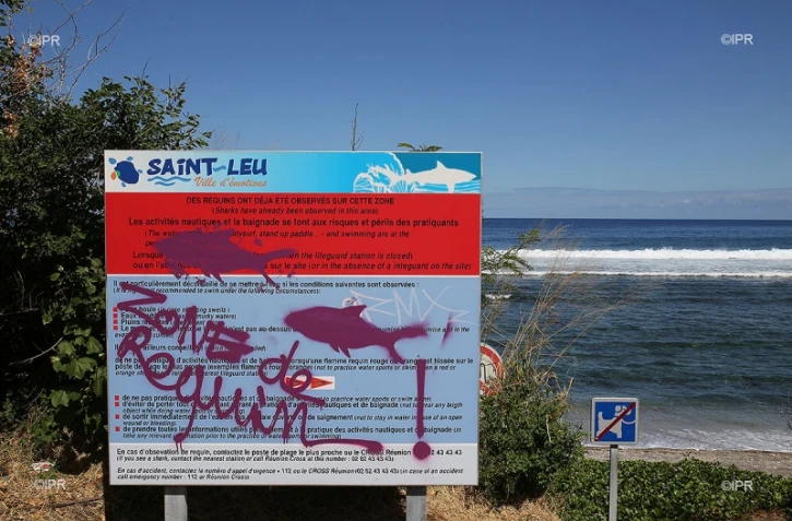 Rodolphe attaque requin 22/07/2015