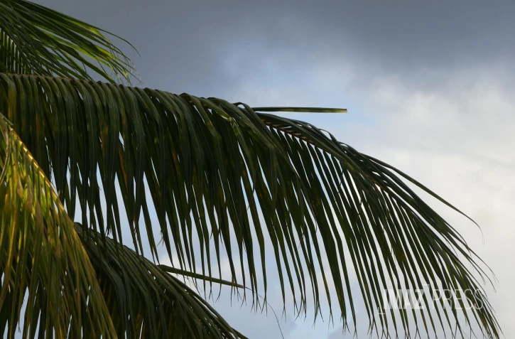 La météo sur La Réunion