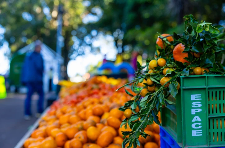 Tampon : 26 tonnes d'agrumes écoulées lors de la Fête des agrumes Réunion