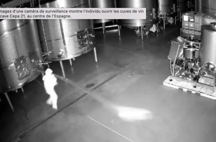 Espagne : 2,5 millions d’euros de vin déversés sur le sol après un acte de vandalisme