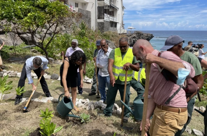 Tortues : une opération de réhabilitation des plages de ponte 