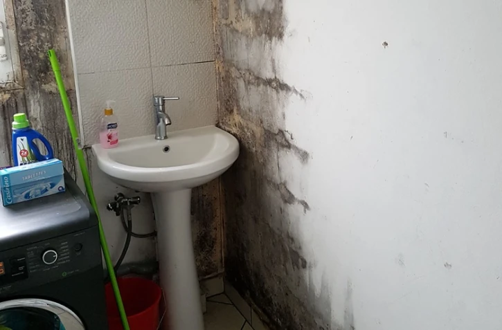 Logement insalubre, Tampon, CNL