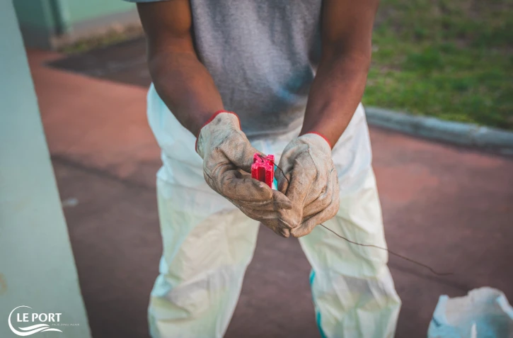  Le Port : opération de dératisation estivale dans les écoles