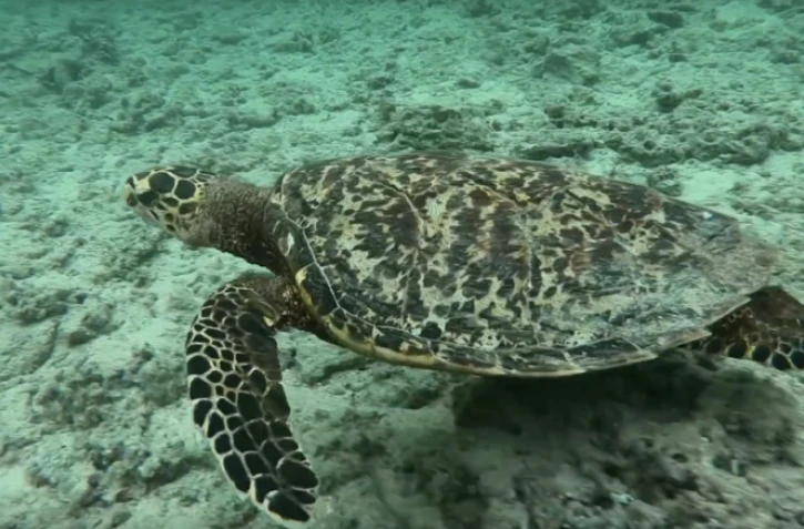 Des images tournées à l\'Hermitage.